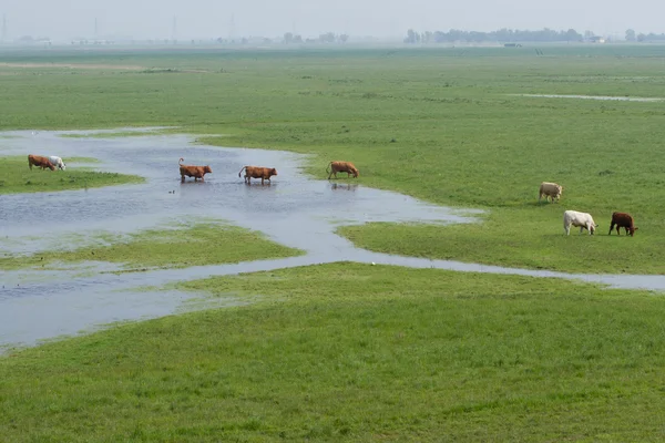Santa Fe: zonas inundadas y preocupación por El Niño